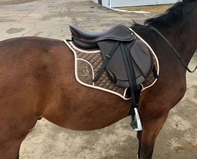 Easy Trek Anti-Slip Spine Relief Saddle Pad – Treeless & Treed - Image 18