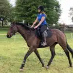 Easy Trek Treeless Comfort GP Saddle - Black or Brown Soft Leather - Image 9
