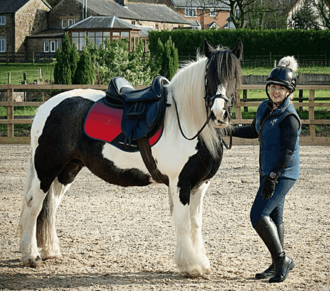 Easy Trek Treeless Comfort GP Saddle - Black or Brown Soft Leather - Image 11