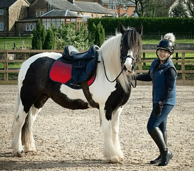 Easy Trek Treeless Comfort GP Saddle - Black or Brown Soft Leather - Image 11