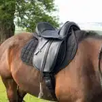 Easy Trek Treeless Comfort GP Saddle - Black or Brown Soft Leather - Image 10