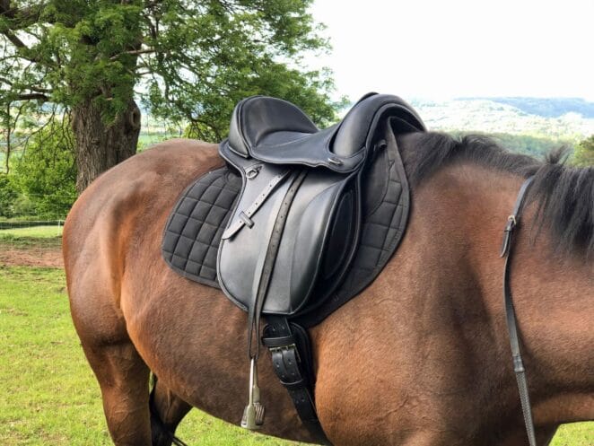 Easy Trek Treeless Comfort GP Saddle - Black or Brown Soft Leather - Image 10