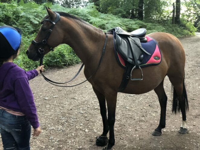 Easy Trek Treeless Classic General Purpose (GP) Saddle – Soft Leather, Pony Size - Image 7