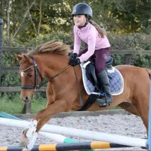 Easytrek Treeless Classic GP Small Pony Saddle - Black or Brown Soft Leather