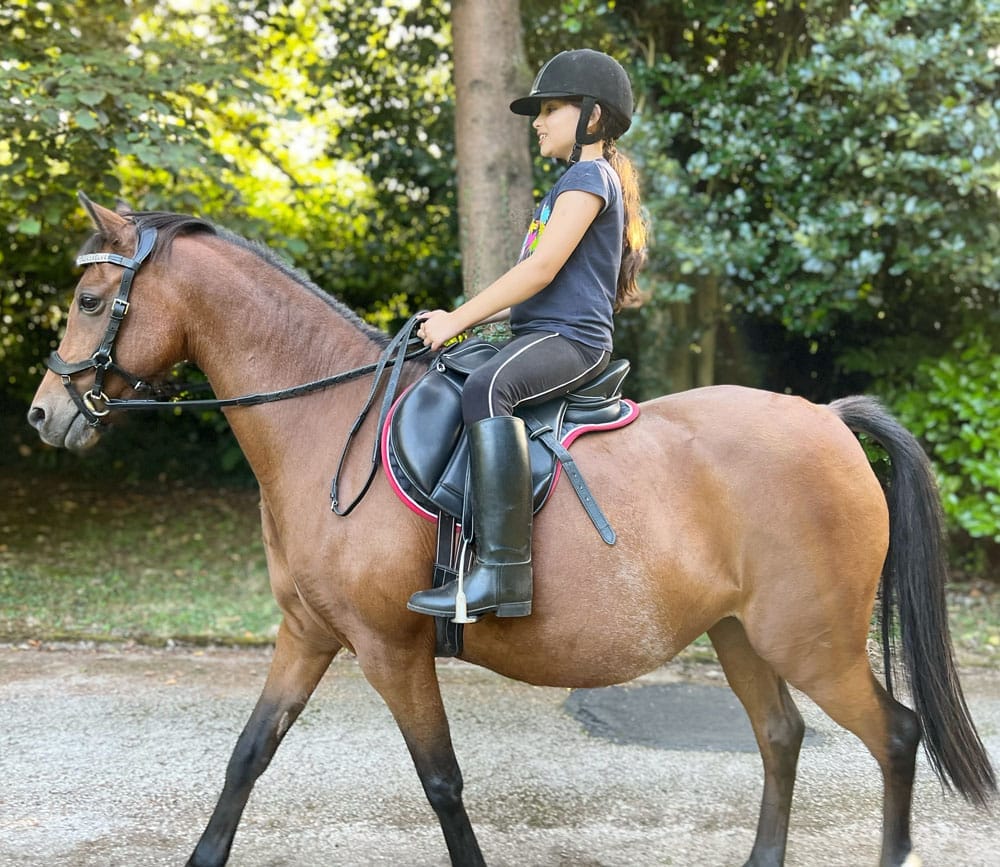 Easytrek Treeless Classic GP Small Pony Saddle Black or Brown Leather 