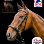 Easy Trek Classic Bitless Leather Bridle - Black