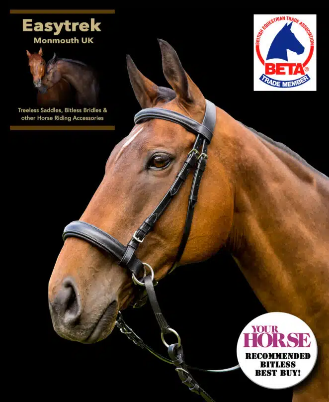 Easy Trek Classic Bitless Leather Bridle - Black