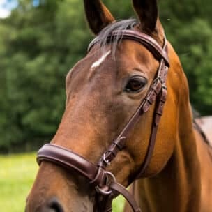 Easy Trek Classic Bitless Leather Bridle - Brown