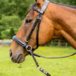 Easy Trek Classic Bitless Leather Bridle - Black