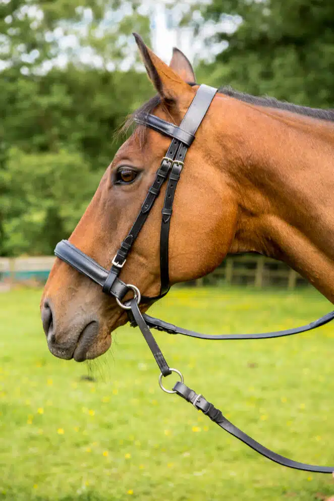 Easy Trek Classic Bitless Leather Bridle - Black