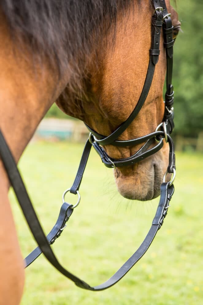 Easy Trek Classic Bitless Leather Bridle - Black
