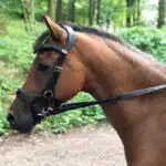 Easy Trek Anatomical Bitted Leather Bridle with Deluxe Gripper Reins - Black or Brown