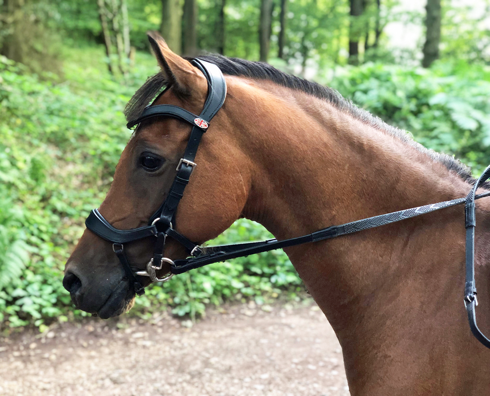 New Easytrek Anatomical Bitless Leather Bridle with Quality Gripper Reins 