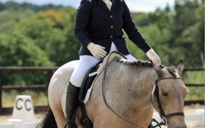 Loving this Easytrek saddle review, thank you Marion Hughes